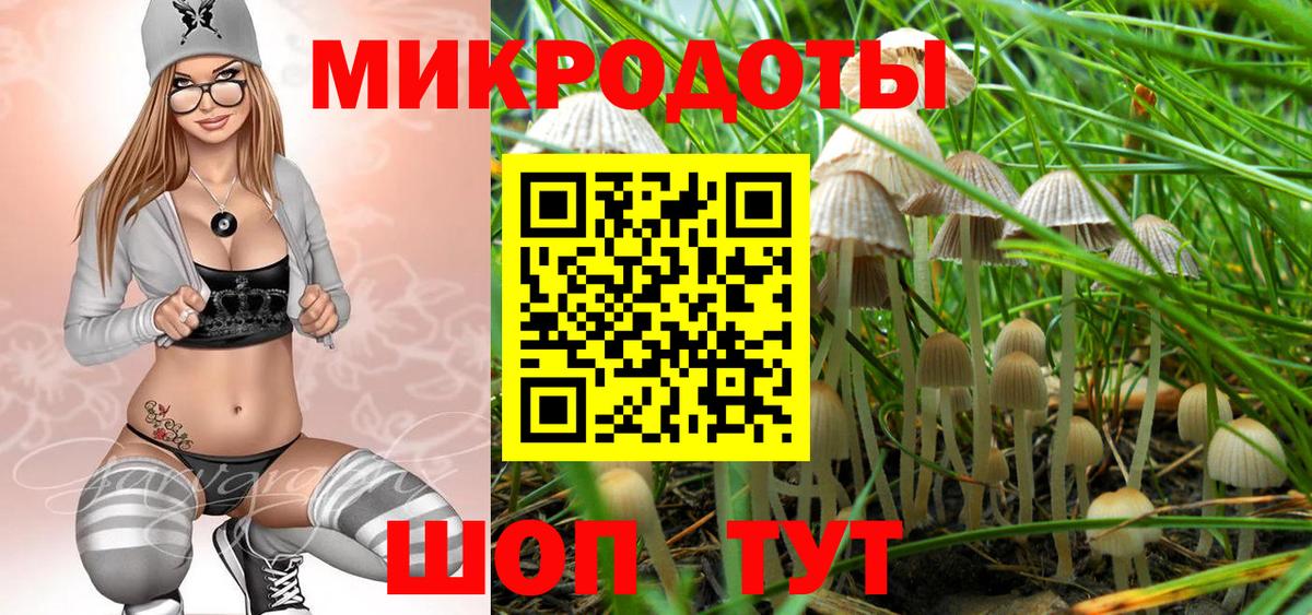 Псилоцибиновые грибы Psilocybine cubensis Сызрань